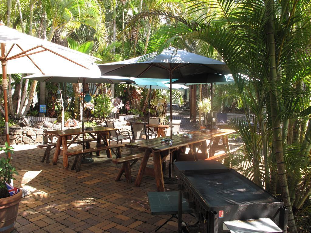 คูลบานาน่าแบ็คแพคเกอร์ Hostel แอกเนสวอเตอร์ ภายนอก รูปภาพ