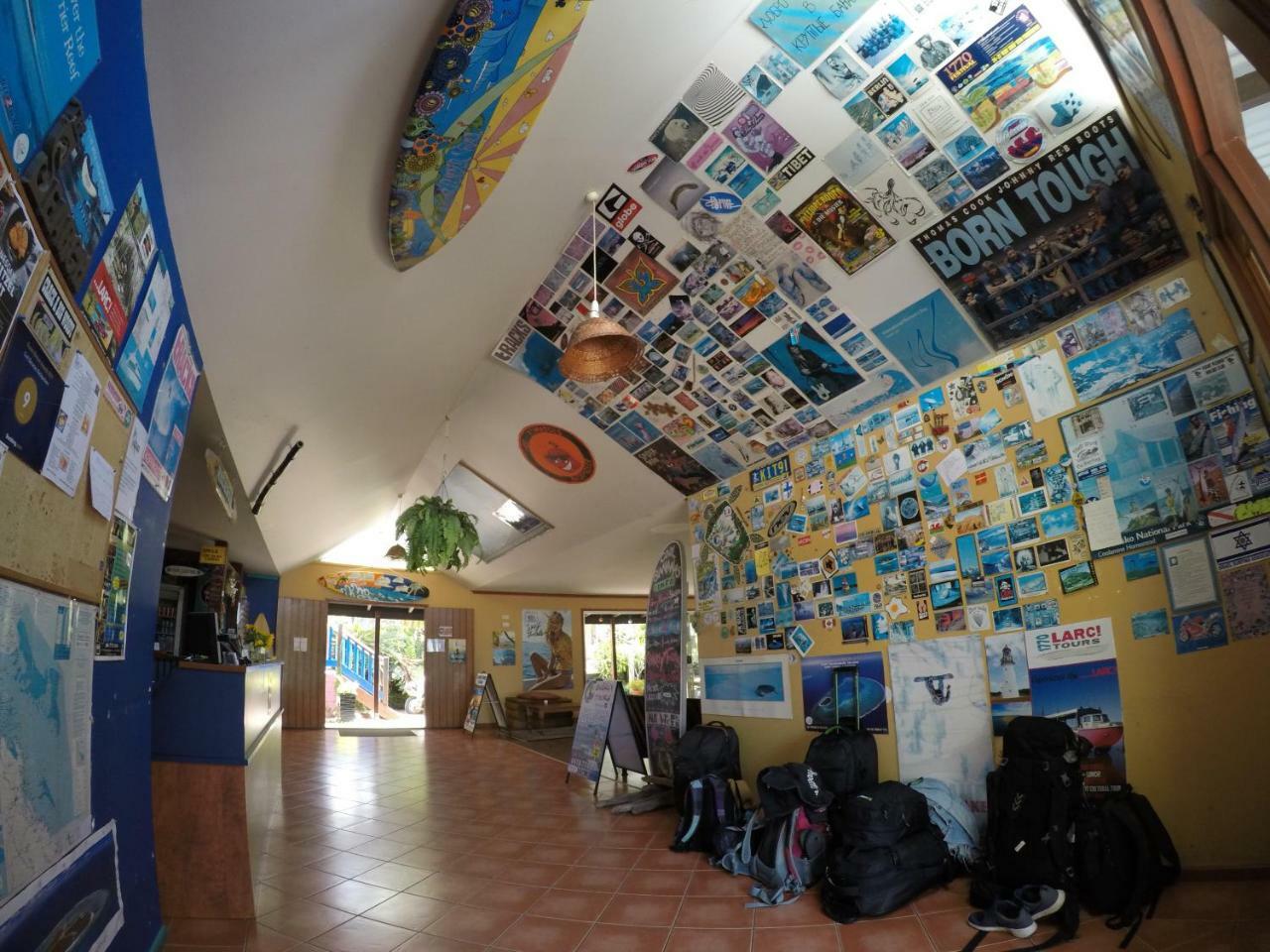 คูลบานาน่าแบ็คแพคเกอร์ Hostel แอกเนสวอเตอร์ ภายนอก รูปภาพ