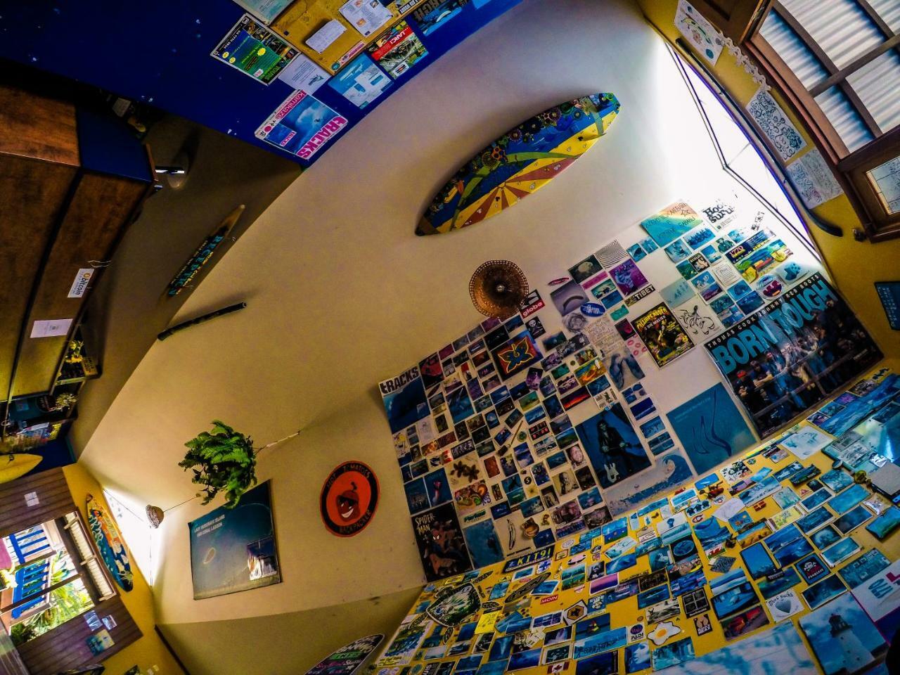 คูลบานาน่าแบ็คแพคเกอร์ Hostel แอกเนสวอเตอร์ ภายนอก รูปภาพ